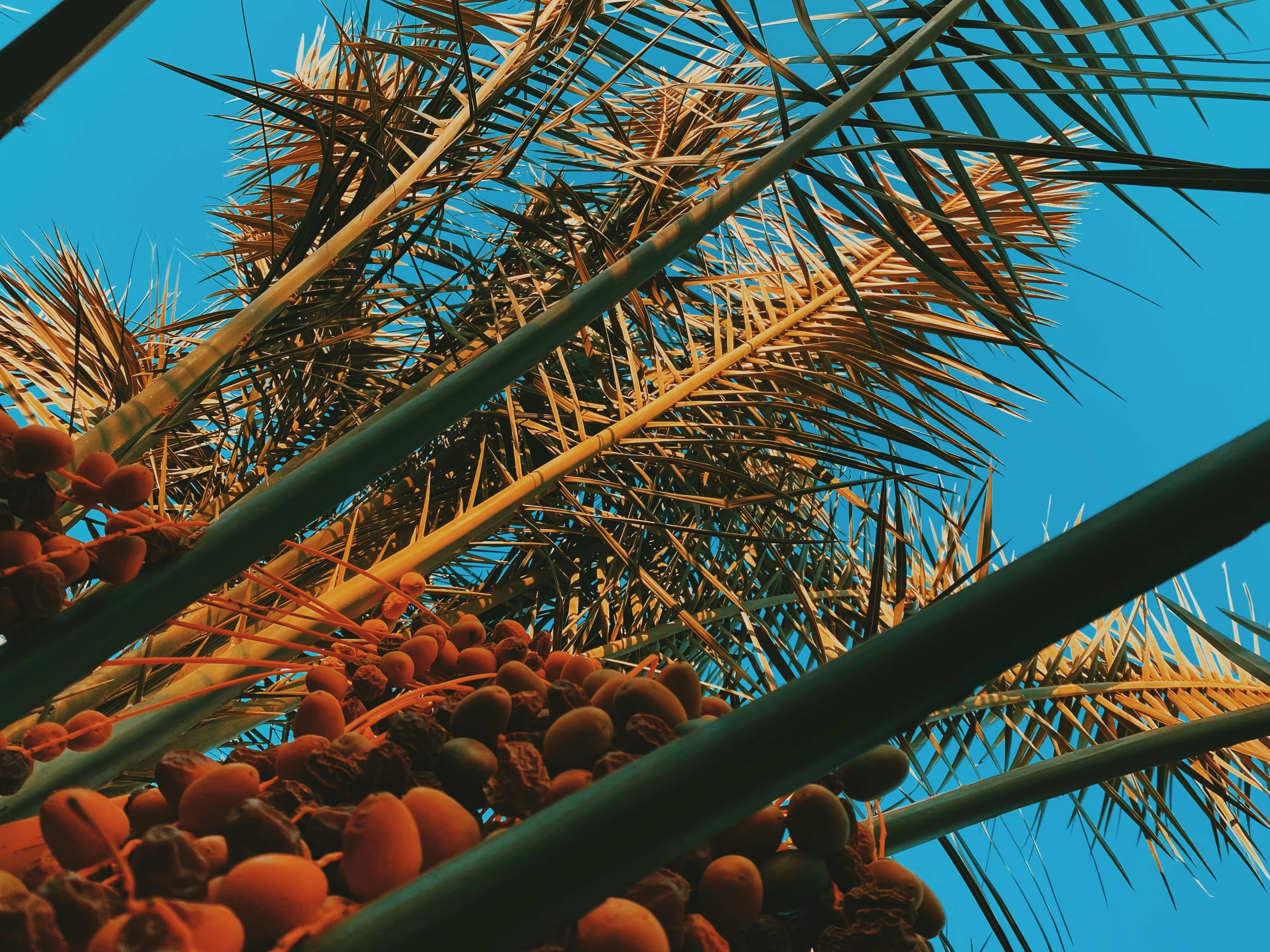 Palm close